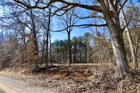 Warrick County Buildable Land For Sale - Wooded Homesites - image 18