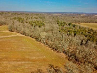Warrick County Buildable Land For Sale - Wooded Homesites - image 3