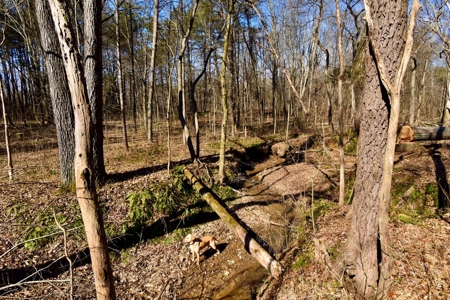 Warrick County Buildable Land For Sale - Wooded Homesites - image 19