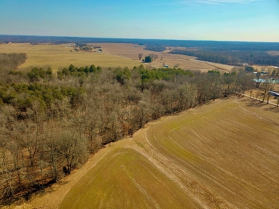 Warrick County Buildable Land For Sale - Wooded Homesites - image 7