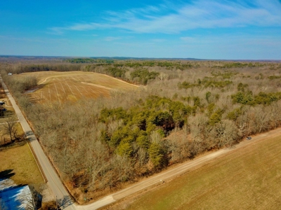 Warrick County Buildable Land For Sale - Wooded Homesites - image 1