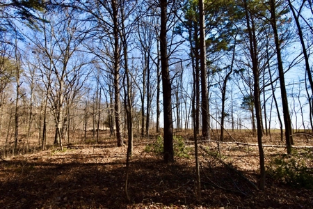 Warrick County Buildable Land For Sale - Wooded Homesites - image 13