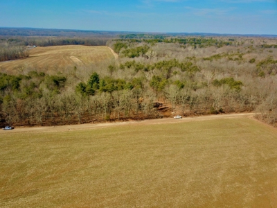 Warrick County Buildable Land For Sale - Wooded Homesites - image 15