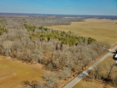 Warrick County Buildable Land For Sale - Wooded Homesites - image 4