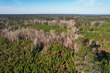127 Acres Hunting Land and Camp for Sale in Amite County, MS - image 18
