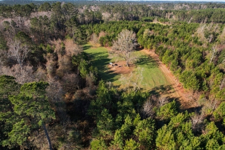 127 Acres Hunting Land and Camp for Sale in Amite County, MS - image 15