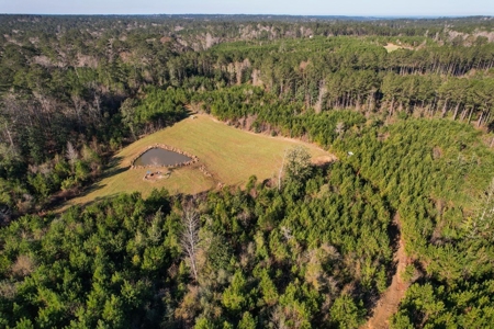 127 Acres Hunting Land and Camp for Sale in Amite County, MS - image 32