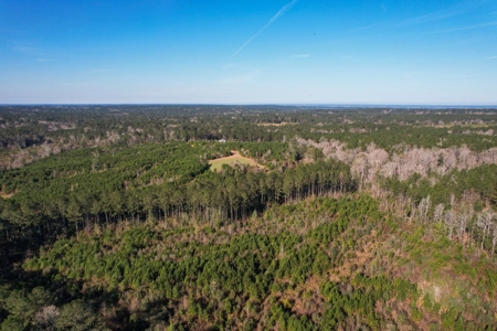 127 Acres Hunting Land and Camp for Sale in Amite County, MS - image 36