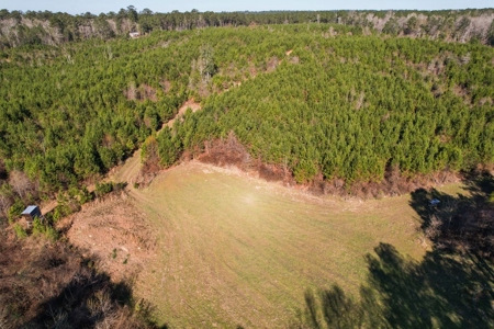 127 Acres Hunting Land and Camp for Sale in Amite County, MS - image 39