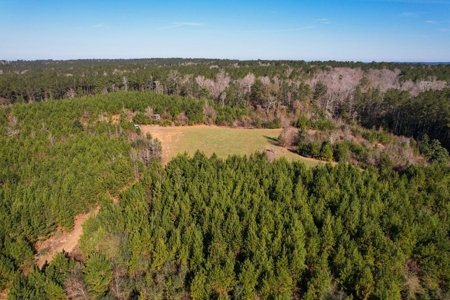 127 Acres Hunting Land and Camp for Sale in Amite County, MS - image 37