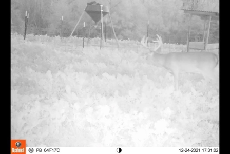 127 Acres Hunting Land and Camp for Sale in Amite County, MS - image 45
