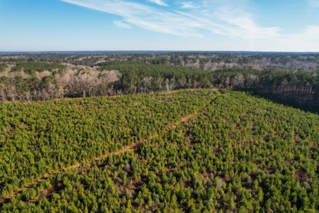 127 Acres Hunting Land and Camp for Sale in Amite County, MS - image 6