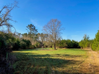 127 Acres Hunting Land and Camp for Sale in Amite County, MS - image 10