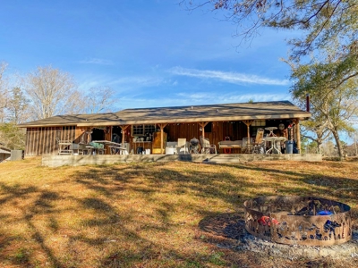 127 Acres Hunting Land and Camp for Sale in Amite County, MS - image 3