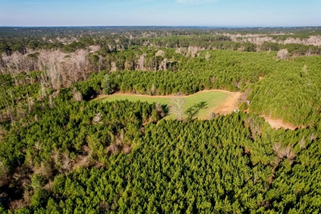 127 Acres Hunting Land and Camp for Sale in Amite County, MS - image 5