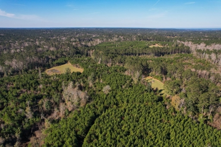 127 Acres Hunting Land and Camp for Sale in Amite County, MS - image 12