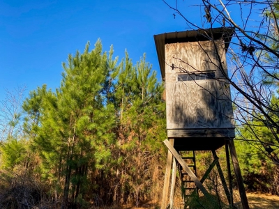 127 Acres Hunting Land and Camp for Sale in Amite County, MS - image 29