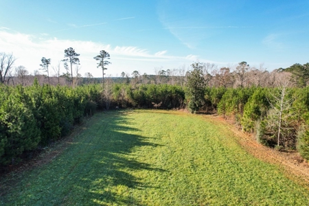 127 Acres Hunting Land and Camp for Sale in Amite County, MS - image 8