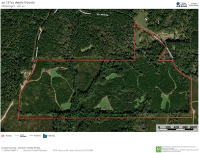 127 Acres Hunting Land and Camp for Sale in Amite County, MS - image 48