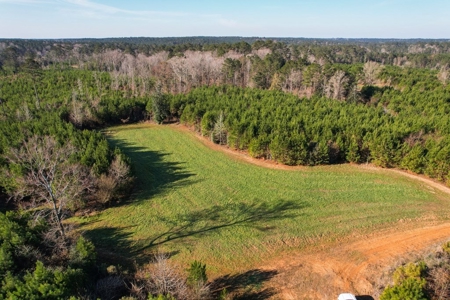 127 Acres Hunting Land and Camp for Sale in Amite County, MS - image 14