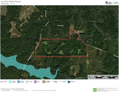 127 Acres Hunting Land and Camp for Sale in Amite County, MS - image 49