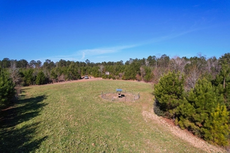 127 Acres Hunting Land and Camp for Sale in Amite County, MS - image 41