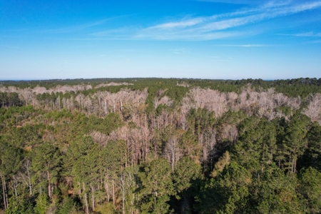 127 Acres Hunting Land and Camp for Sale in Amite County, MS - image 35