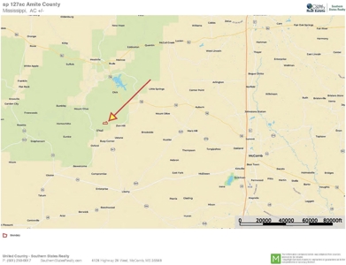 127 Acres Hunting Land and Camp for Sale in Amite County, MS - image 46