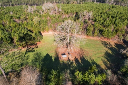 127 Acres Hunting Land and Camp for Sale in Amite County, MS - image 9