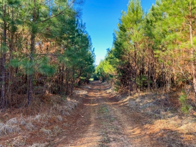 127 Acres Hunting Land and Camp for Sale in Amite County, MS - image 30