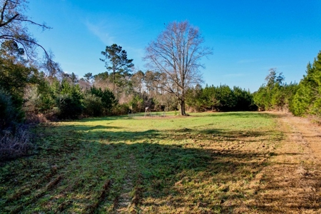 127 Acres Hunting Land and Camp for Sale in Amite County, MS - image 28