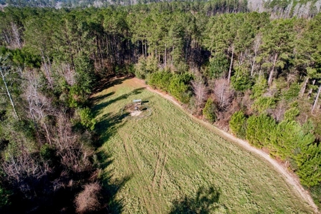 127 Acres Hunting Land and Camp for Sale in Amite County, MS - image 34