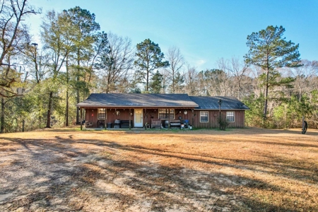 127 Acres Hunting Land and Camp for Sale in Amite County, MS - image 2