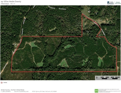 127 Acres Hunting Land and Camp for Sale in Amite County, MS - image 47