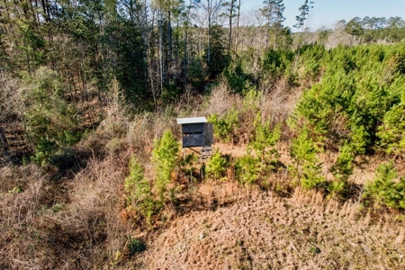 127 Acres Hunting Land and Camp for Sale in Amite County, MS - image 40