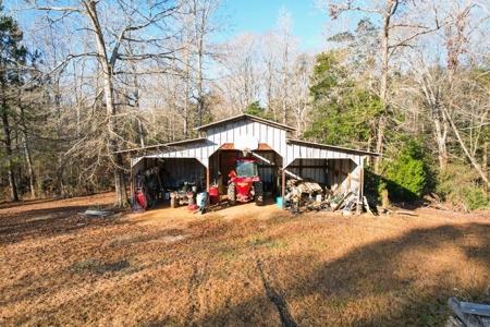 127 Acres Hunting Land and Camp for Sale in Amite County, MS - image 4