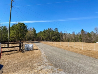 127 Acres Hunting Land and Camp for Sale in Amite County, MS - image 42