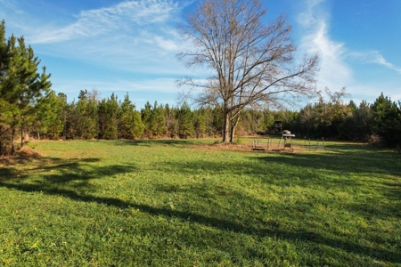127 Acres Hunting Land and Camp for Sale in Amite County, MS - image 16