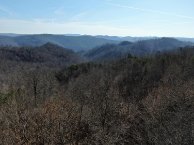 New Tazewell- Claiborne County TN-Lake Access Lot for Sale - image 7