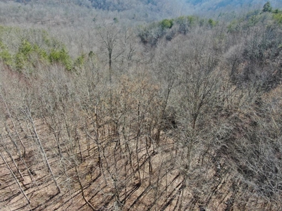 New Tazewell- Claiborne County TN-Lake Access Lot for Sale - image 5