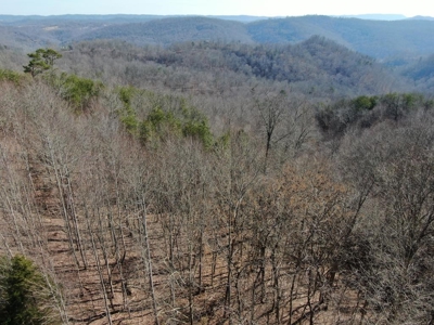 New Tazewell- Claiborne County TN-Lake Access Lot for Sale - image 3