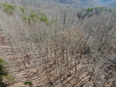New Tazewell- Claiborne County TN-Lake Access Lot for Sale - image 1