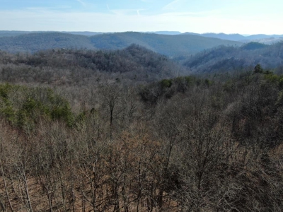 New Tazewell- Claiborne County TN-Lake Access Lot for Sale - image 6