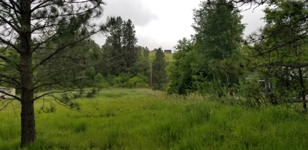 Country Home on 1.33 +/- Acres for Sale in Rural Troy, Idaho - image 21