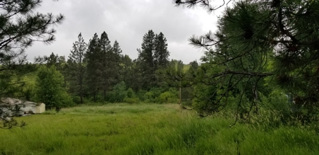 Country Home on 1.33 +/- Acres for Sale in Rural Troy, Idaho - image 20