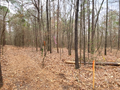 Homesite location in Gilmer, TX - image 8