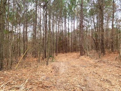 Homesite location in Gilmer, TX - image 7