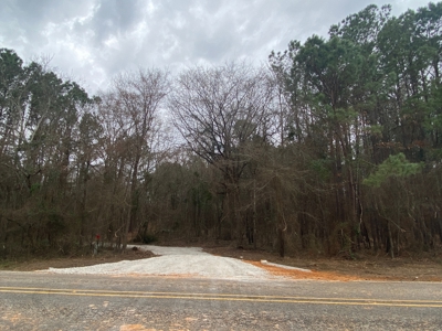 Homesite location in Gilmer, TX - image 3