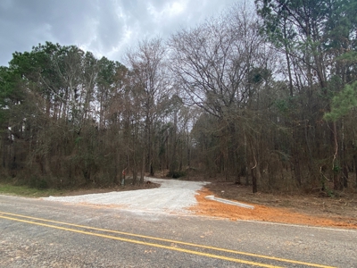 Homesite location in Gilmer, TX - image 2