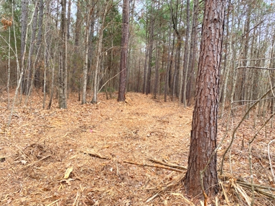 Homesite location in Gilmer, TX - image 10